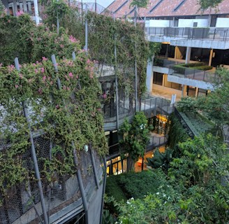 An urban environment featuring a multi-story building partially covered with lush green plants and ivy. The building has a modern architectural style with a blending of nature and structure. Walkways and balconies are visible, alongside trees and other vegetation in surrounding areas. The upper section of the building has a red-tiled roof with skylights.