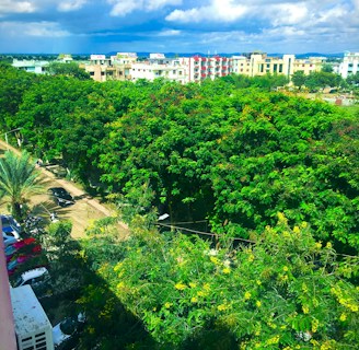 A vibrant cityscape featuring lush green trees in the foreground. In the midground, there are several buildings with colorful facades, giving a sense of urban development. The sky above is partly cloudy, adding depth to the scene. A few vehicles and people are visible on the street, suggesting daily city life.